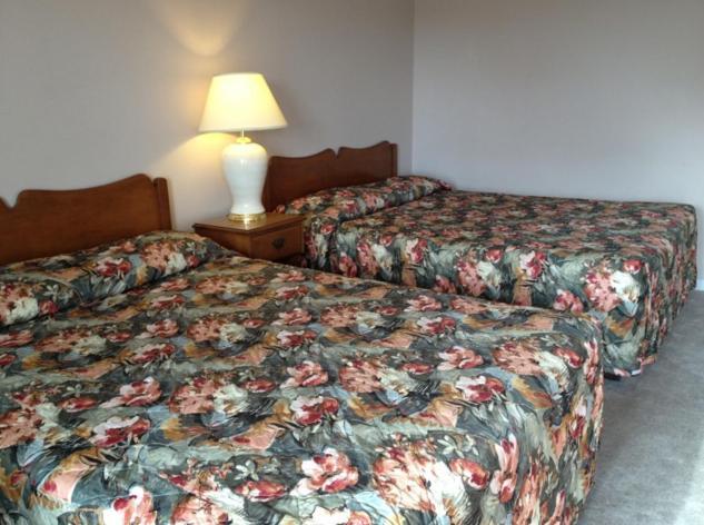 Lotus Motel Cobourg Esterno foto